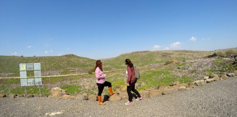 גן לאומי כורזים