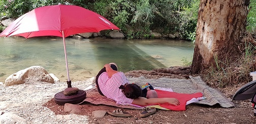 נחל שניר גן הצפון