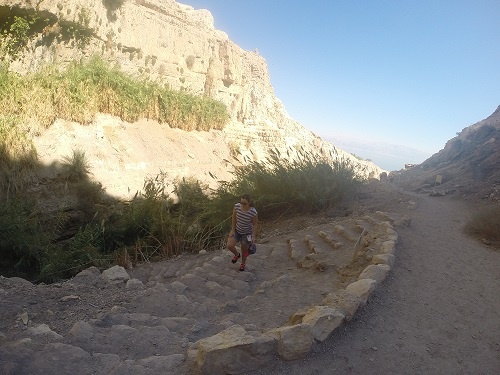 נחל דוד בשמורת הטבע עין גדי