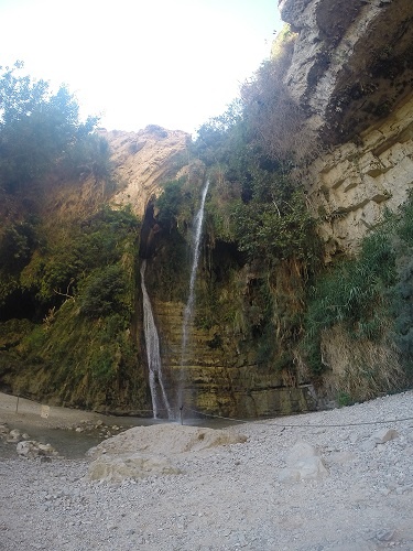 נחל דוד בשמורת הטבע עין גדי