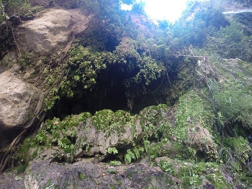 נחל דוד בשמורת הטבע עין גדי