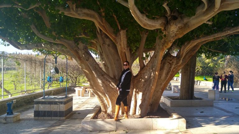 כנסיית שנים-עשר השליחים בכנרת