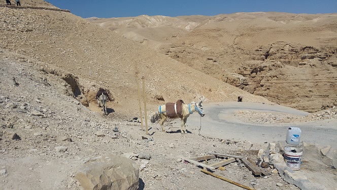 נחל פרת וואדי קלט מנזר סיינט ג'ורג'