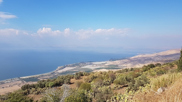 אמפי רמת הגולן טיילת מבוא חמה דרום רמת הגולן