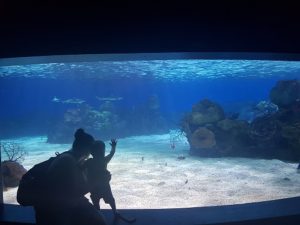 אקווריום ישראל