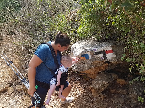 שמורת הטבע נחל עמוד