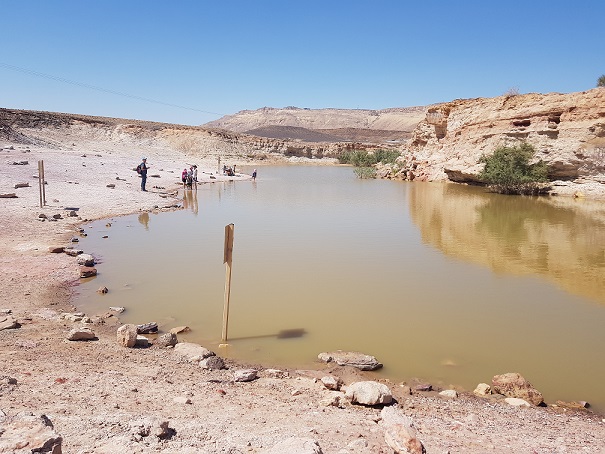 מכתש רמון המנסרה אבן רוח מים הים של מצפה