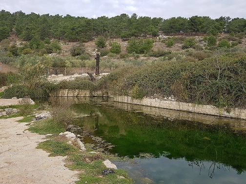 עין יבקע נחל ציפורי