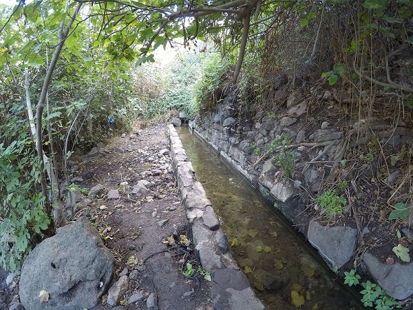 עין פיק מצפה שלום דרום רמת הגולן