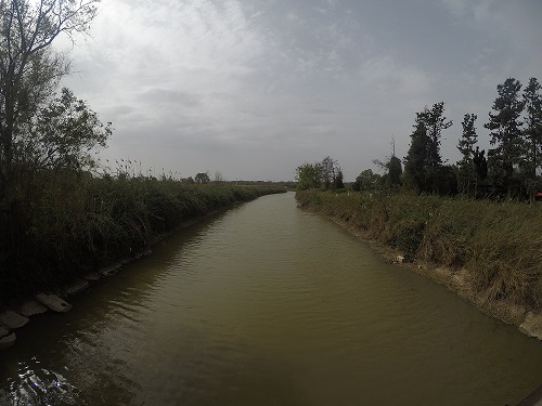גשר הצבים הרכים נחל אלכסנדר