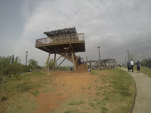 גשר הצבים הרכים נחל אלכסנדר