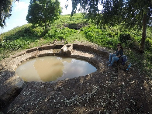 עין שרונה מעיינות ביבניאל