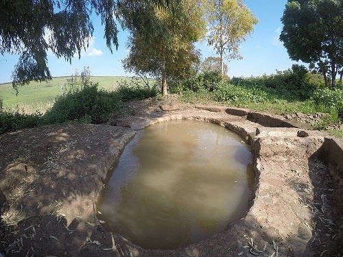 עין שרונה מעיינות ביבניאל