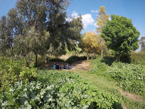 עין שרונה מעיינות ביבניאל