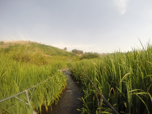 מסלול טיול עין תינה