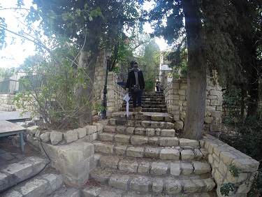 טיול יומי בראש פינה המושבה