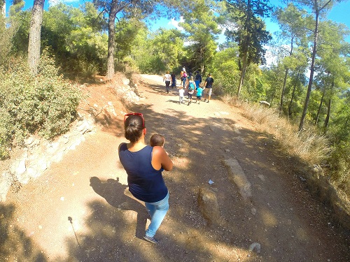 פארק נשר הגשרים התלויים