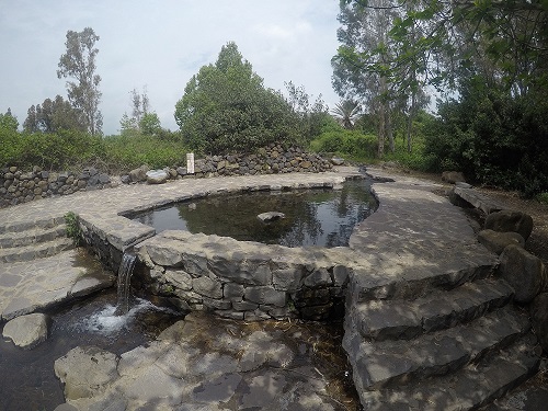 עיינות עדן עין סלוקיה מעיינות עדן