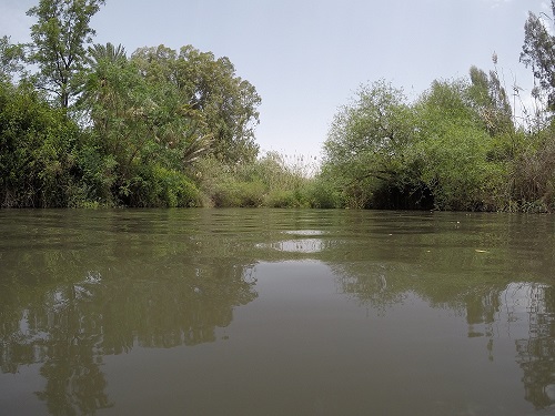 שמורת הטבע מג'רסה