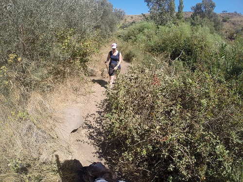 נחל אל על - המפל השחור​, מסלול רטוב, מסלול מים, מסלול ברמת הגולן, נחל אל על