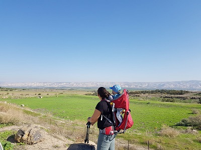 קניון הבזלת נחל חרוד
