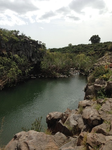 שמורת הטבע נחל זוויתן