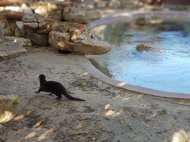 גן החיות מוצקין חי פארק מוצקין