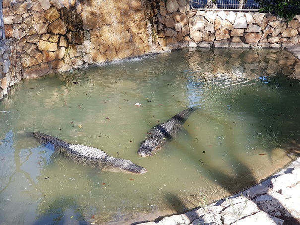 גן החיות מוצקין חי פארק מוצקין