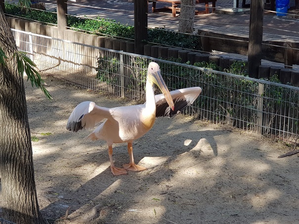 גן החיות מוצקין חי פארק מוצקין