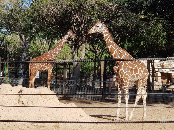 גן החיות מוצקין חי פארק מוצקין