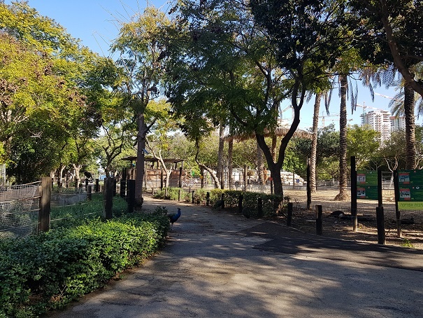 גן החיות מוצקין חי פארק מוצקין