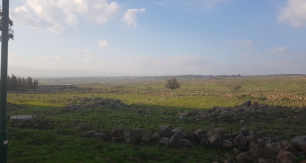 כפר האומנים אניעם