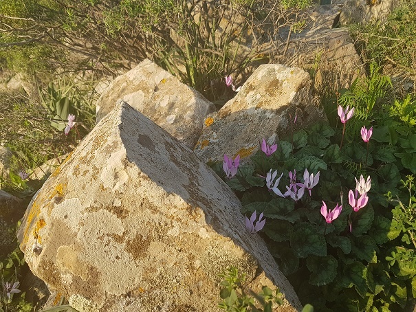 מפל עייט כפר האומנים אניעם