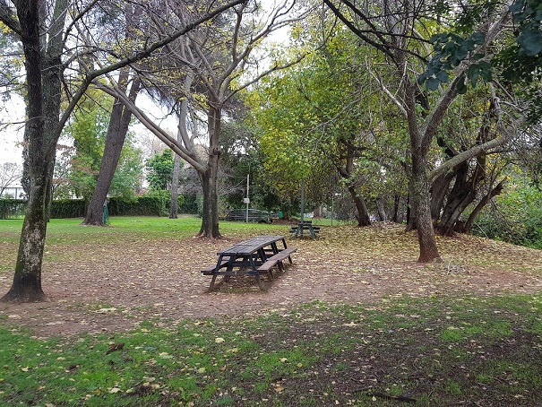 טיול פריחה קיבוץ דפנה