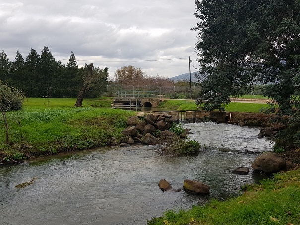 פארק דפנה טיול פריחה קיבוץ דפנה