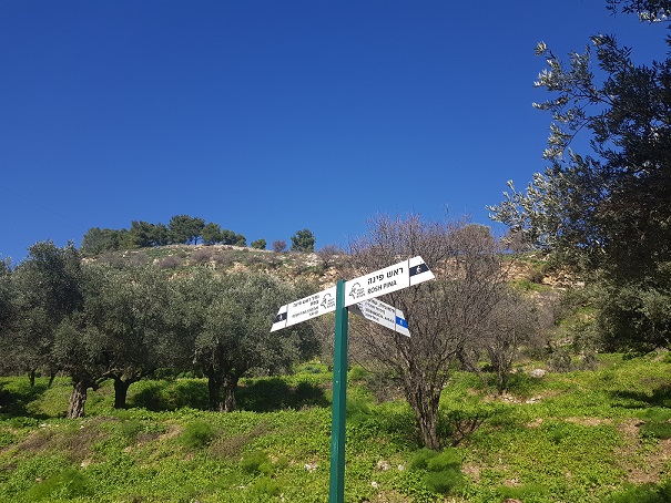 שמורת הטבע נחל ראש פינה