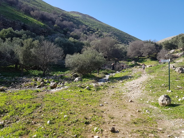 שמורת הטבע נחל ראש פינה