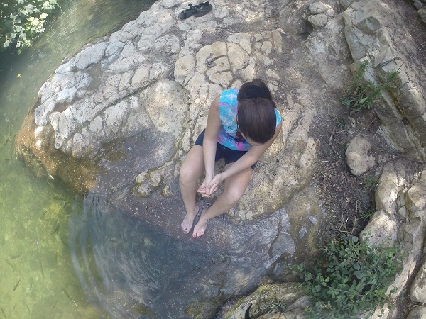 מבצר המונפורט נחל כזיב