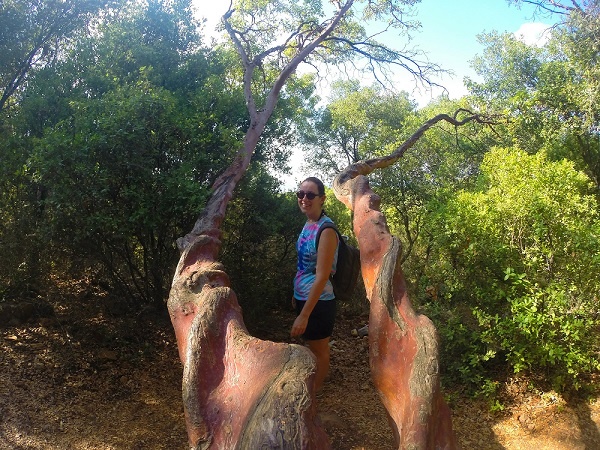 נחל כזיב עין טמיר עין זיו מבצר המונפורט
