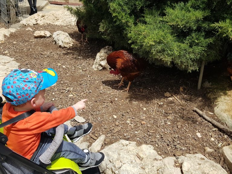 אגם חי יראון