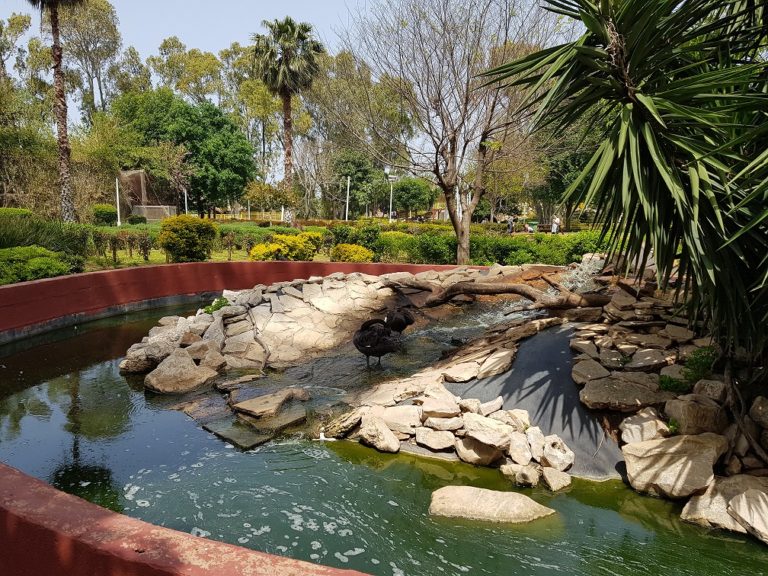 גן בוטני זואולוגי נהריה