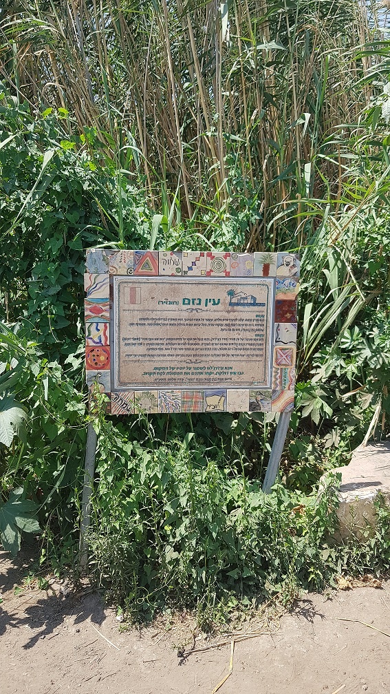 עין נזם מעיין בלב השדות