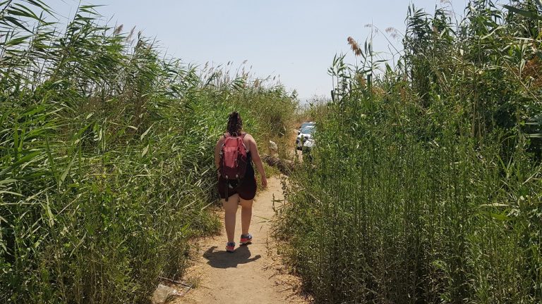 עין נזם מעיין בלב השדות