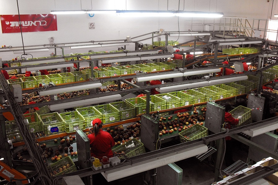 טיולים במרכזי מבקרים - טיולים לחורף או כשחם מדי