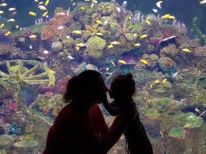 אקווריום ישראל