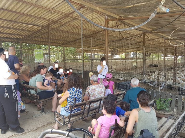 ברווזים בכפר – מרכז מבקרים לכל המשפחה