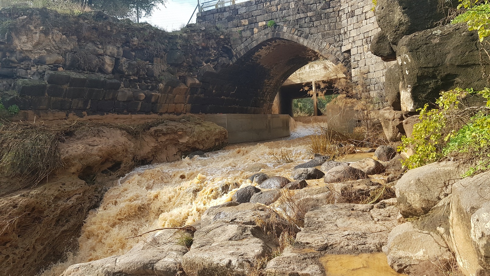 שביל בין הגשרים – נחל חרוד בית שאן