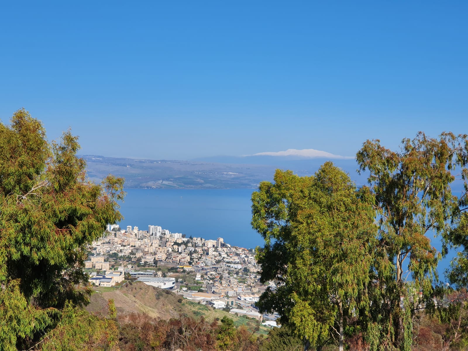יער שוויץ – טיול בדרך נוף הכנרת