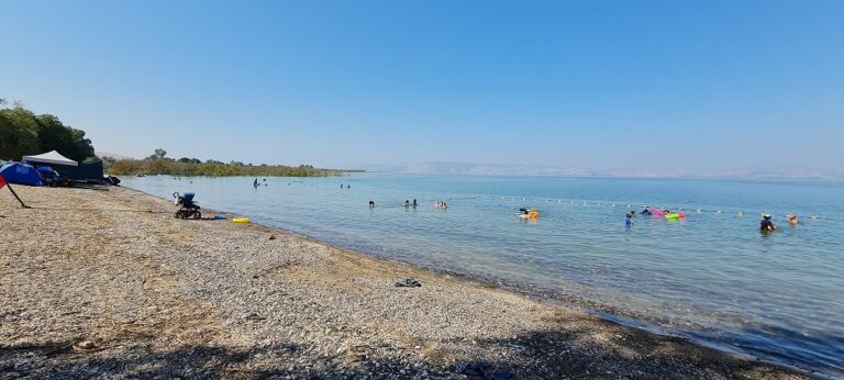 חוף צאלון חוף שקט בכנרת