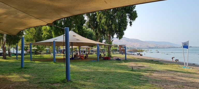 חוף דוגה חוף שקט בכנרת